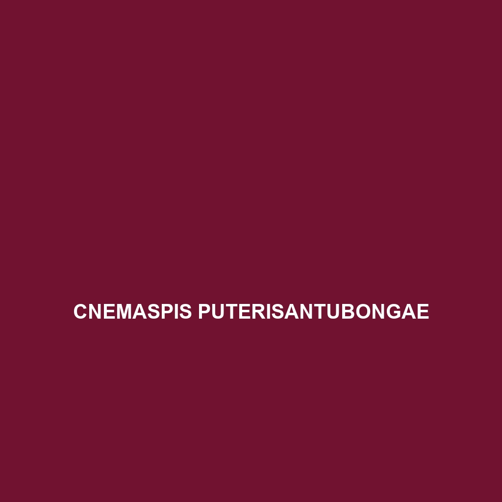 Cnemaspis puterisantubongae