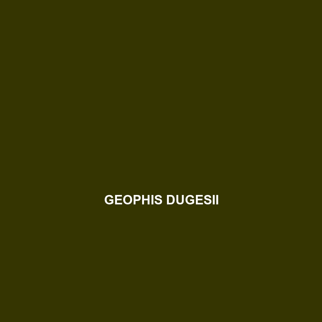 Geophis dugesii