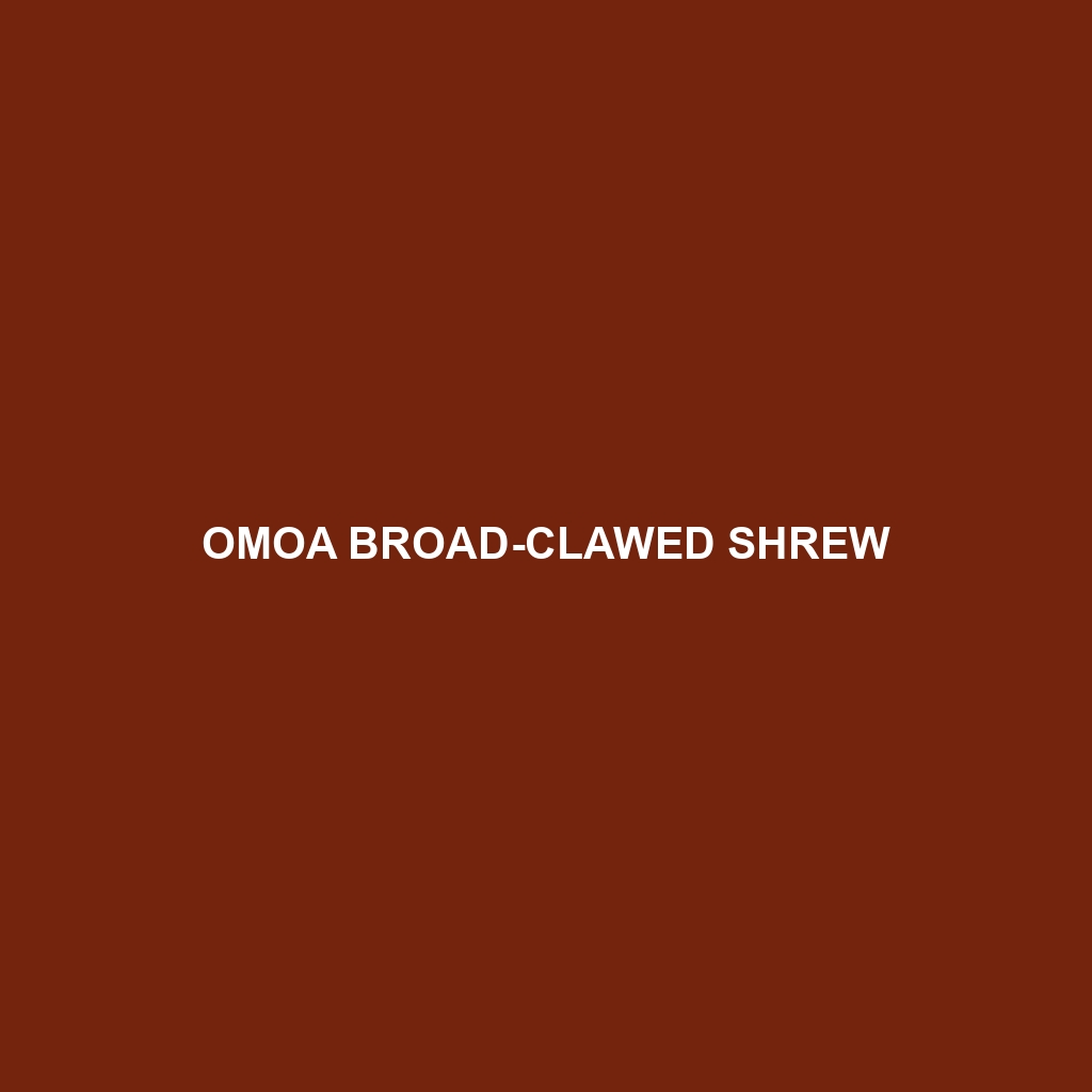 Omoa Broad-clawed Shrew