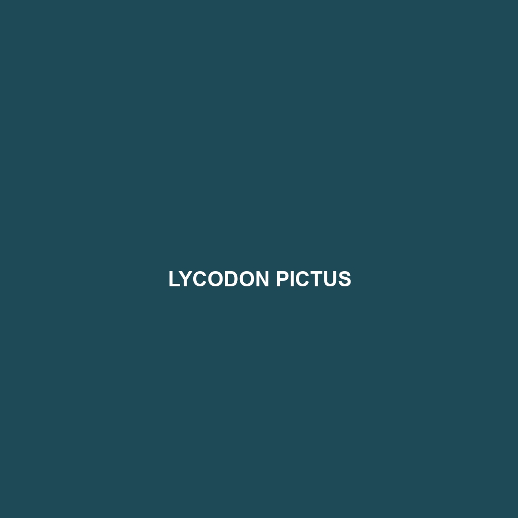 Lycodon pictus