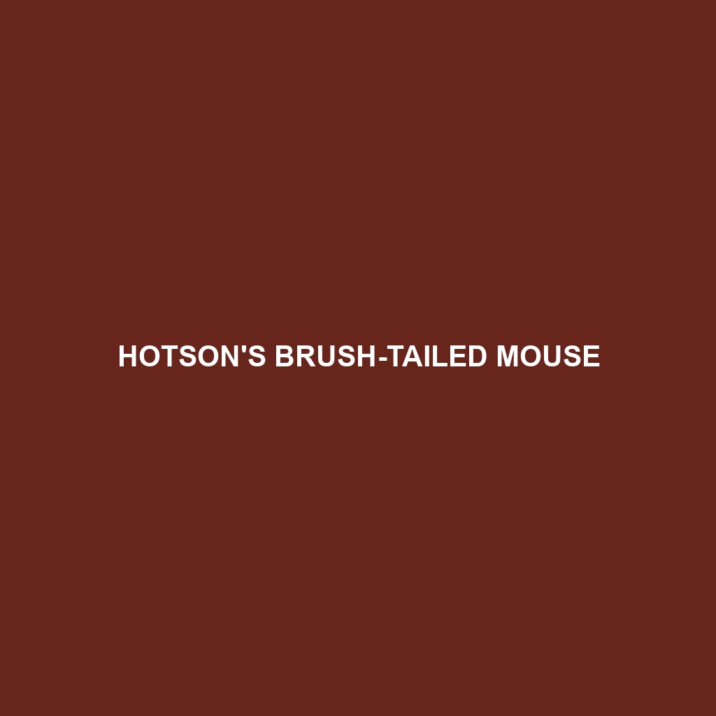 Hotson's Brush-tailed Mouse