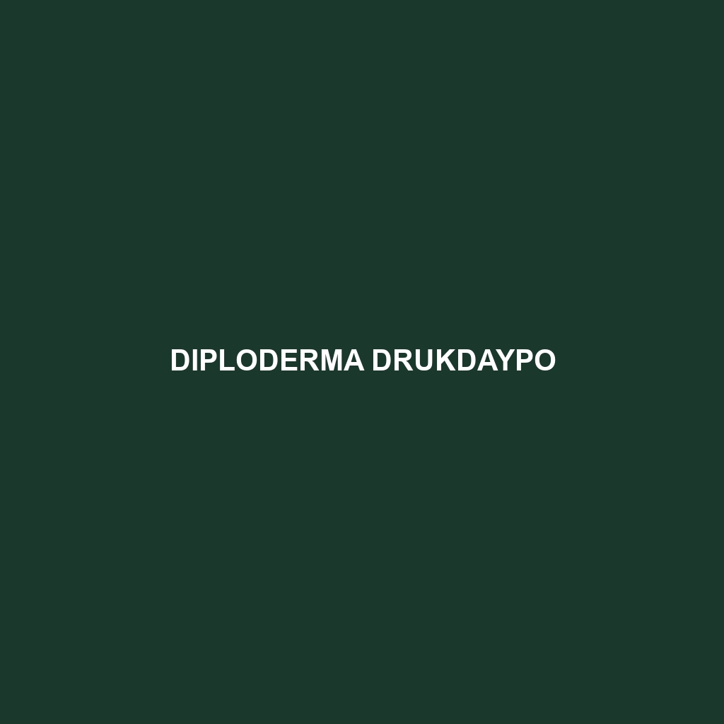 Diploderma drukdaypo