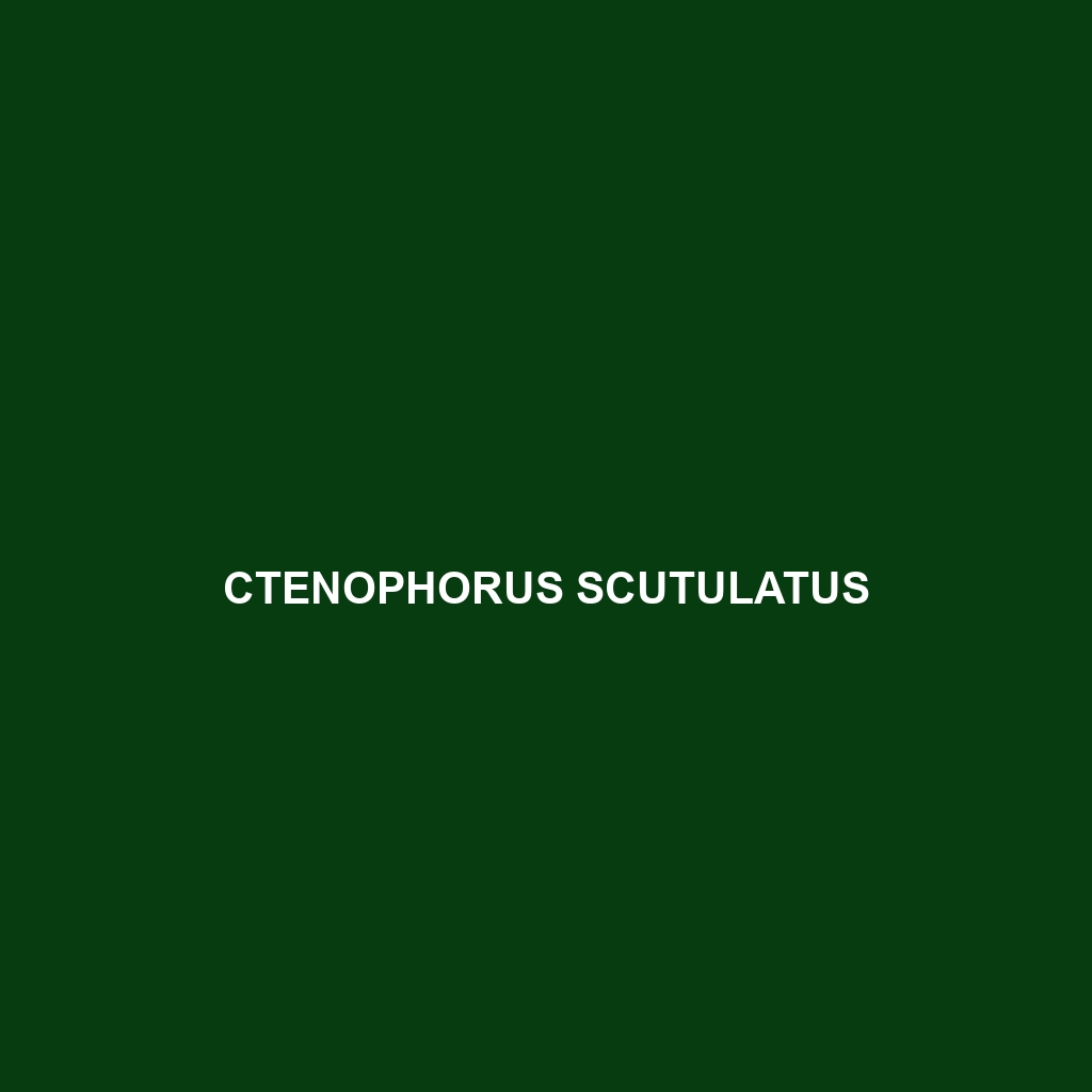 Ctenophorus scutulatus