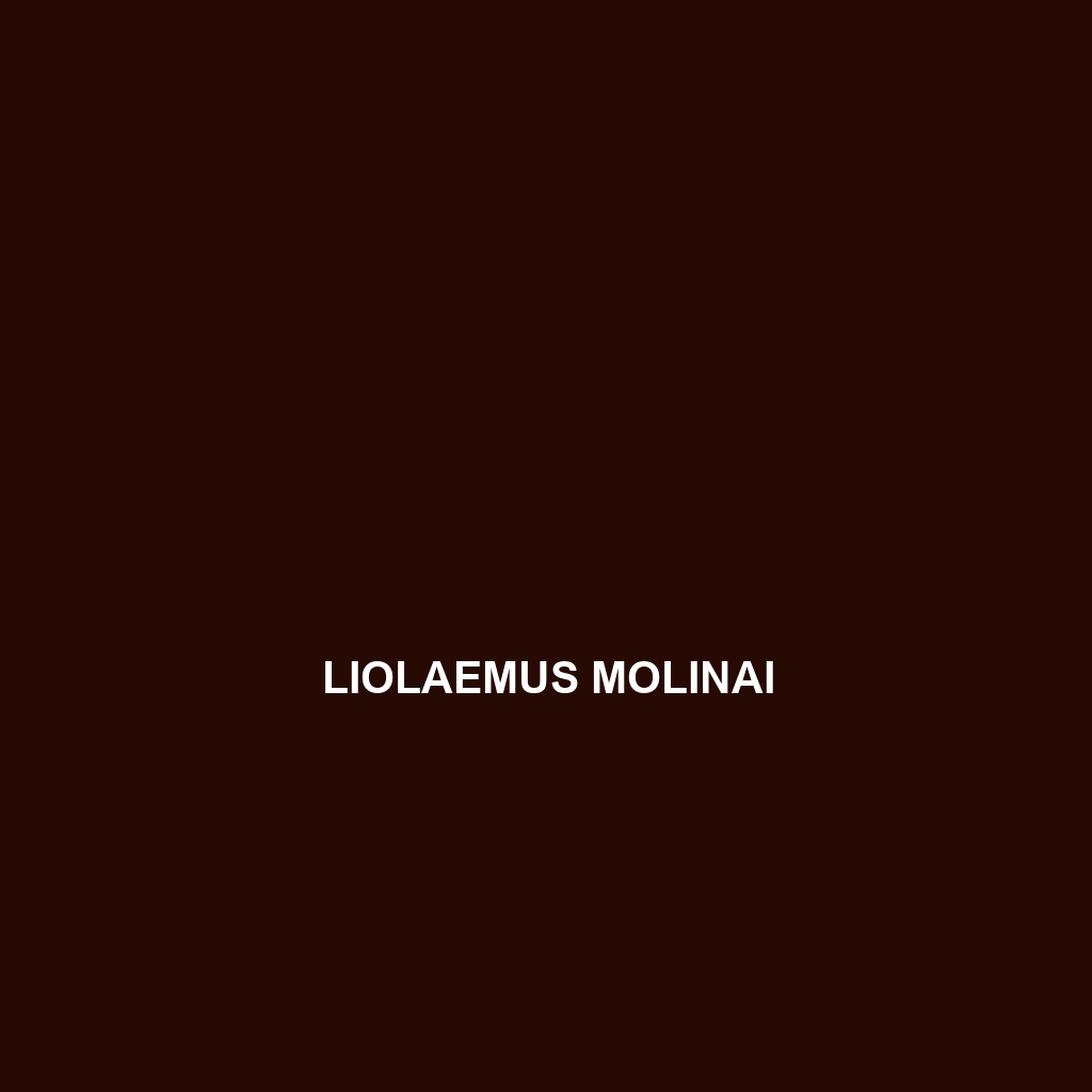 Liolaemus molinai