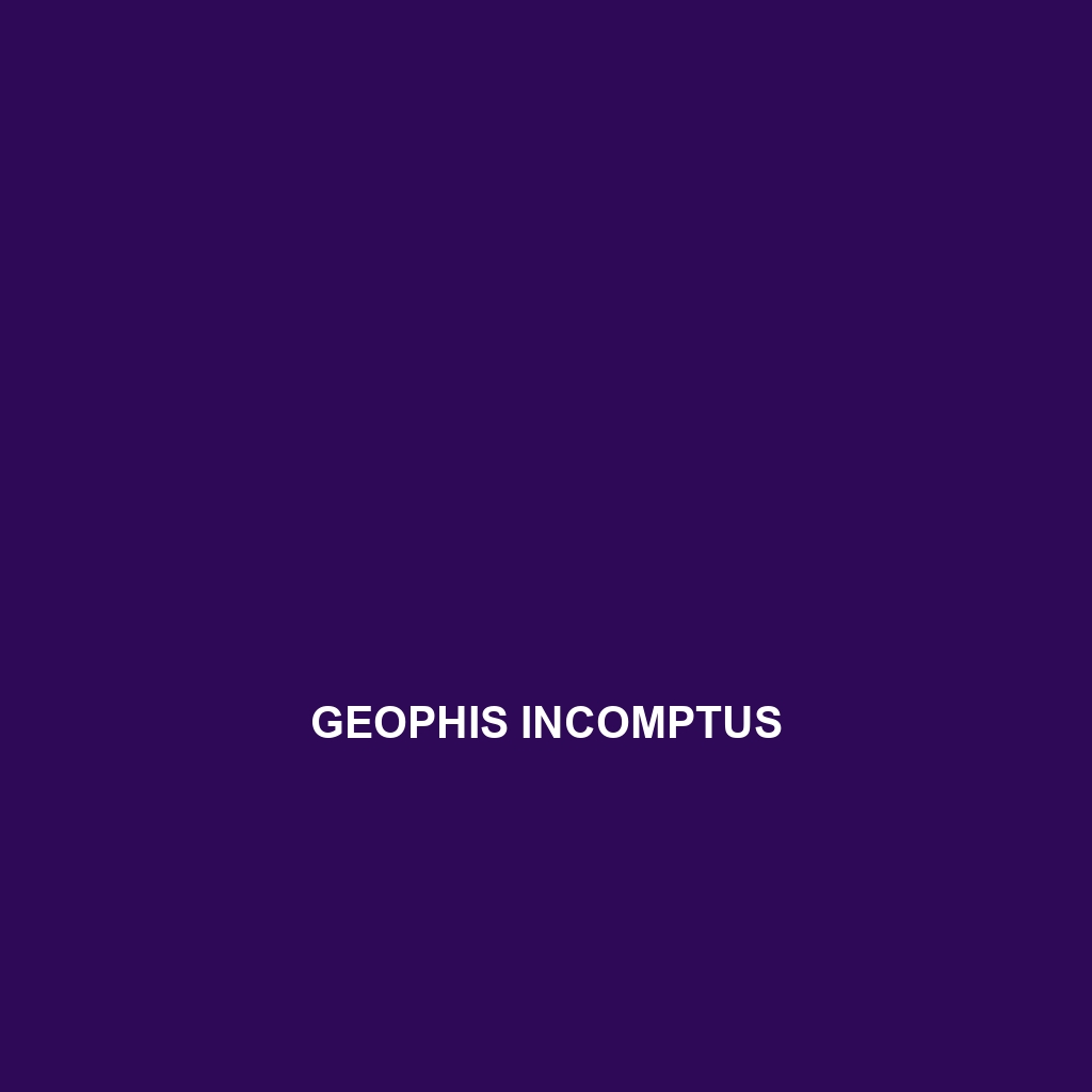 Geophis incomptus