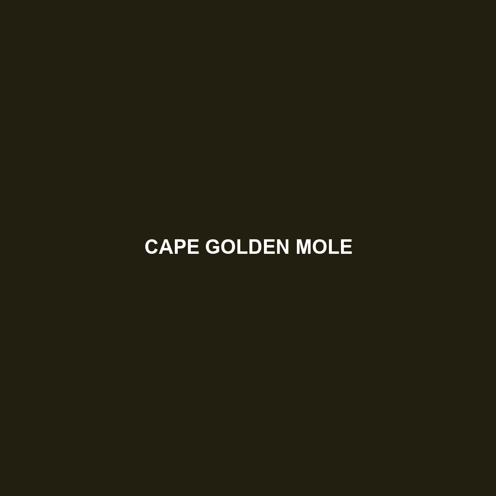 Cape Golden Mole