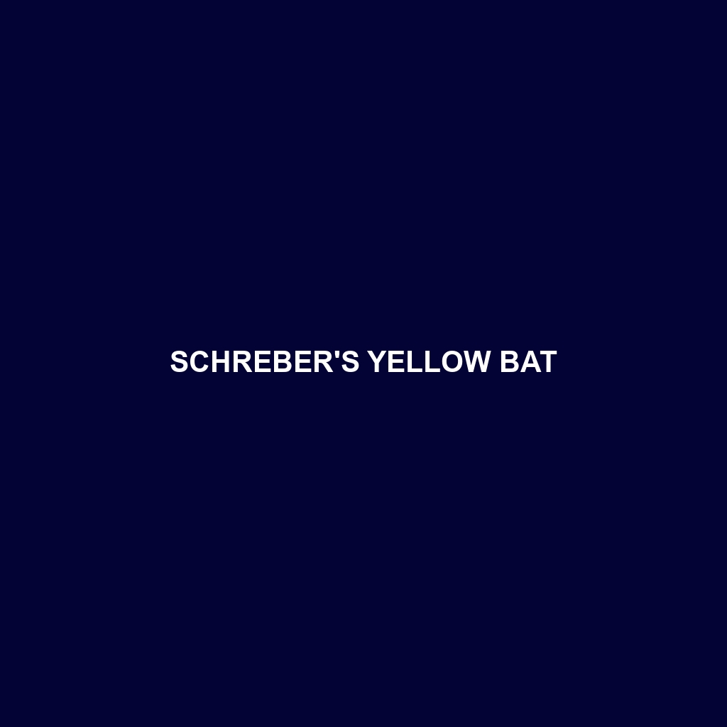 Schreber's Yellow Bat