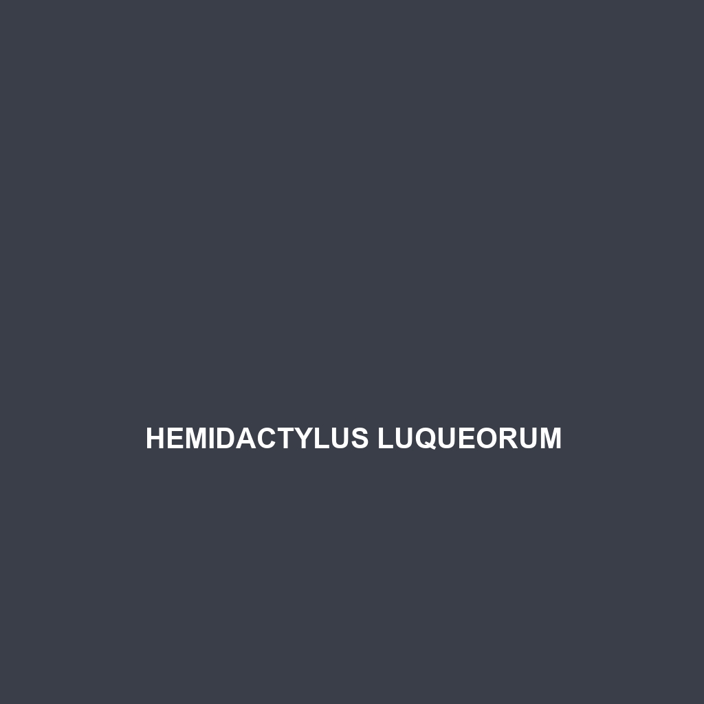 Hemidactylus luqueorum