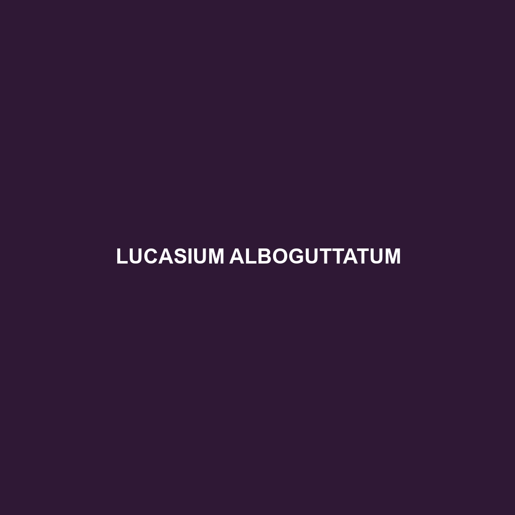 Lucasium alboguttatum