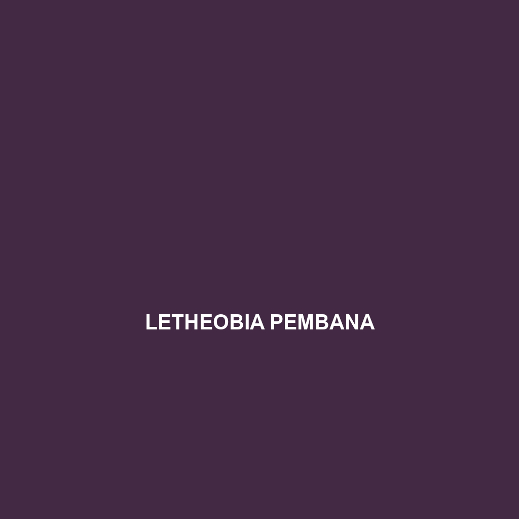 Letheobia pembana