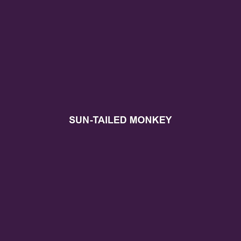 Sun-tailed Monkey