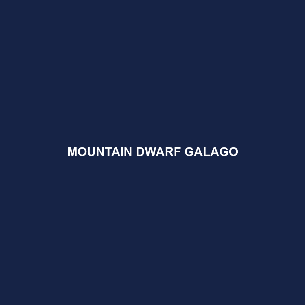 Mountain Dwarf Galago