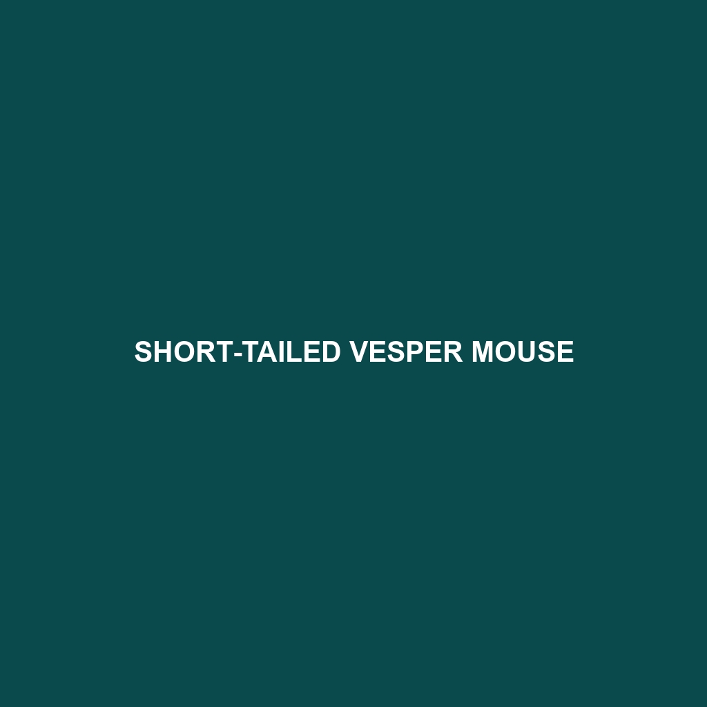 Short-tailed Vesper Mouse