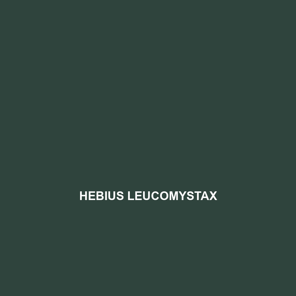 Hebius leucomystax