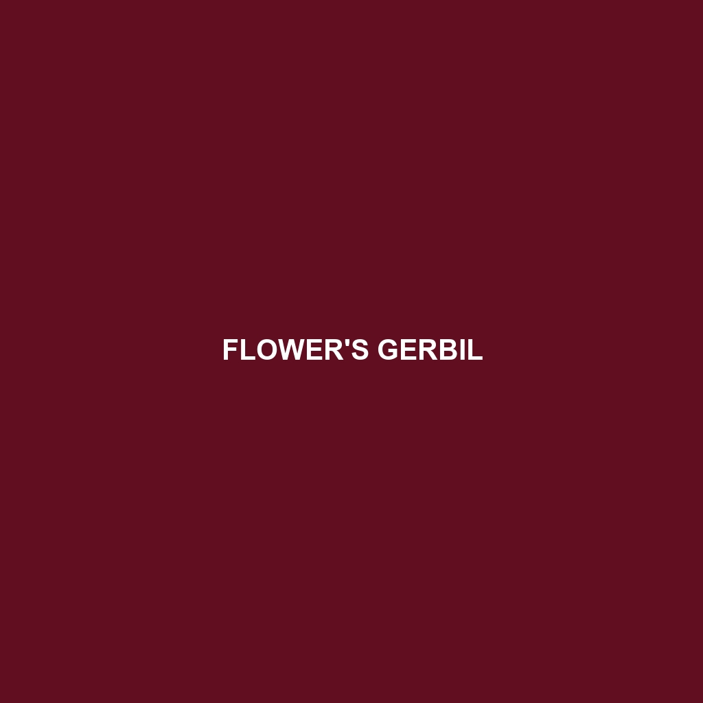 Flower's Gerbil