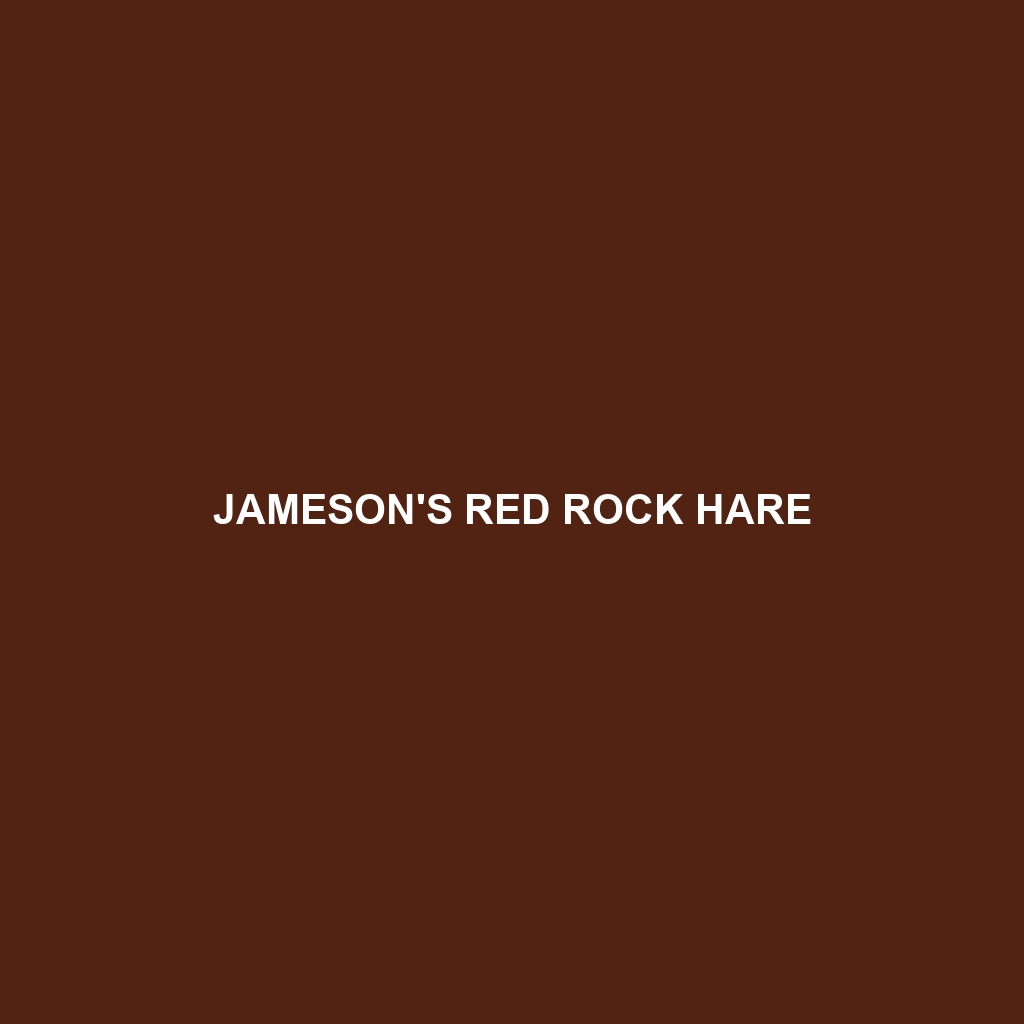 Jameson's Red Rock Hare