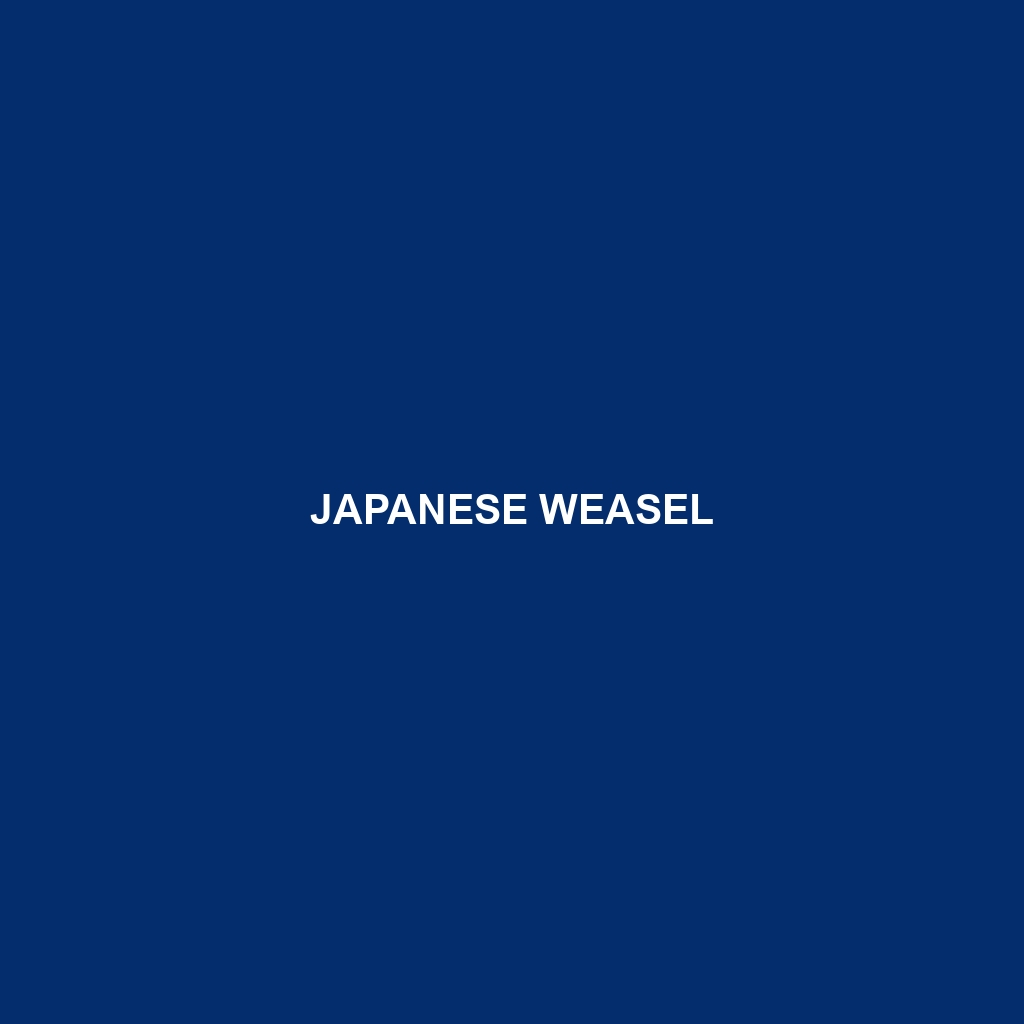 Japanese Weasel