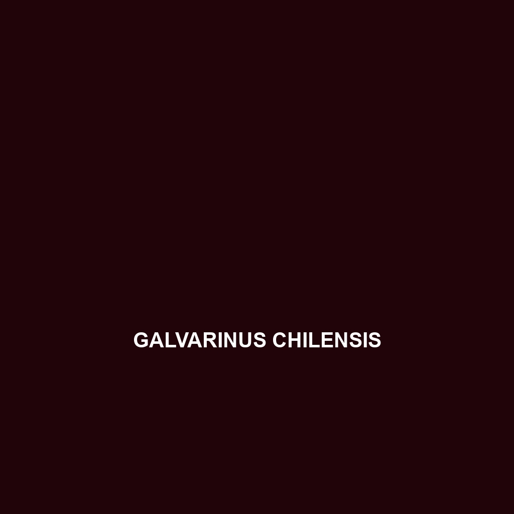 Galvarinus chilensis