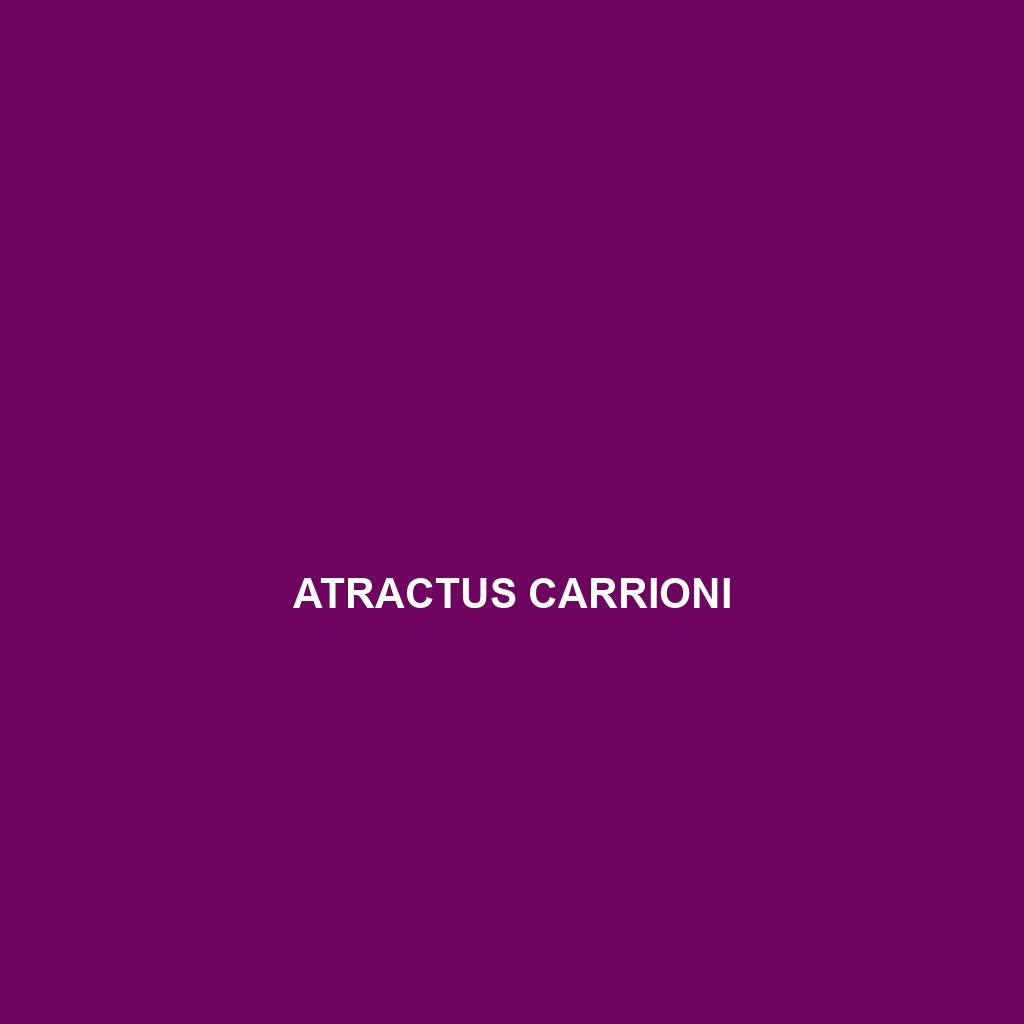 Atractus carrioni