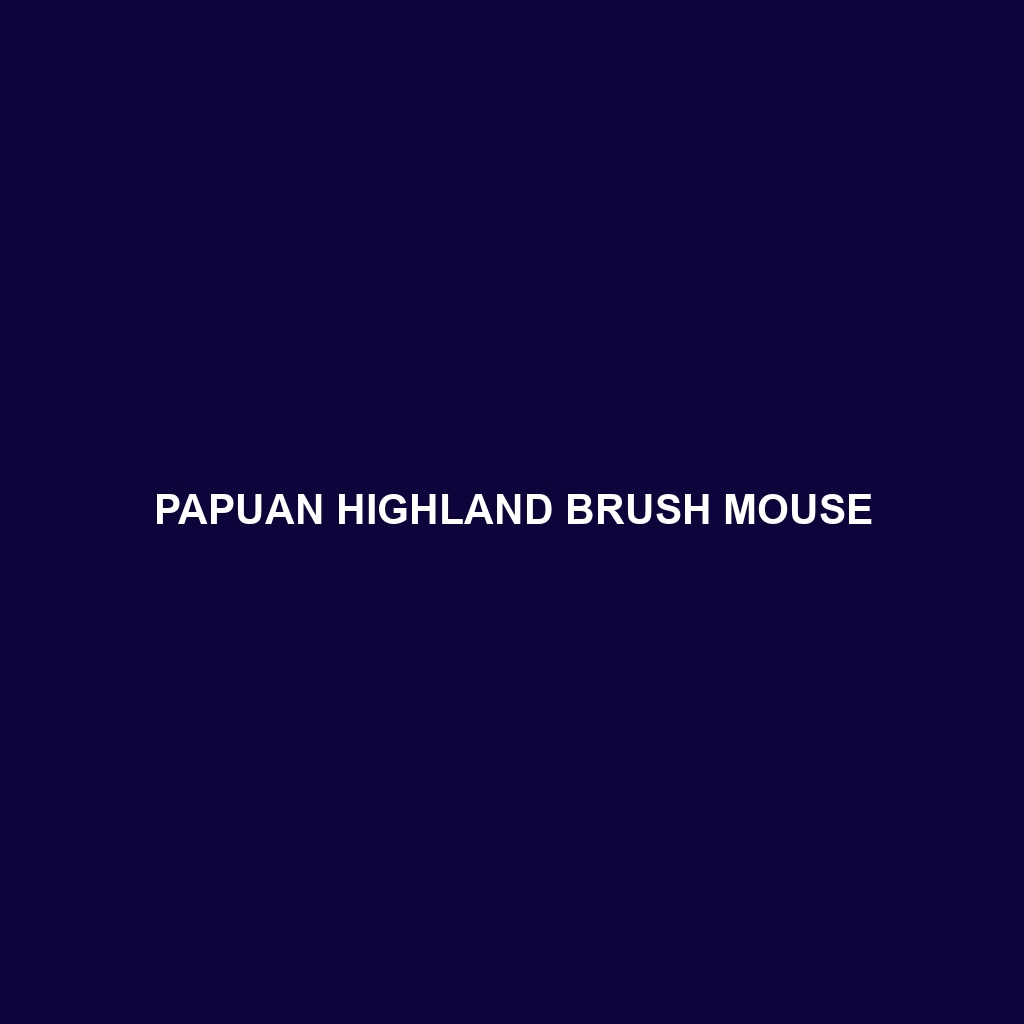 Papuan Highland Brush Mouse