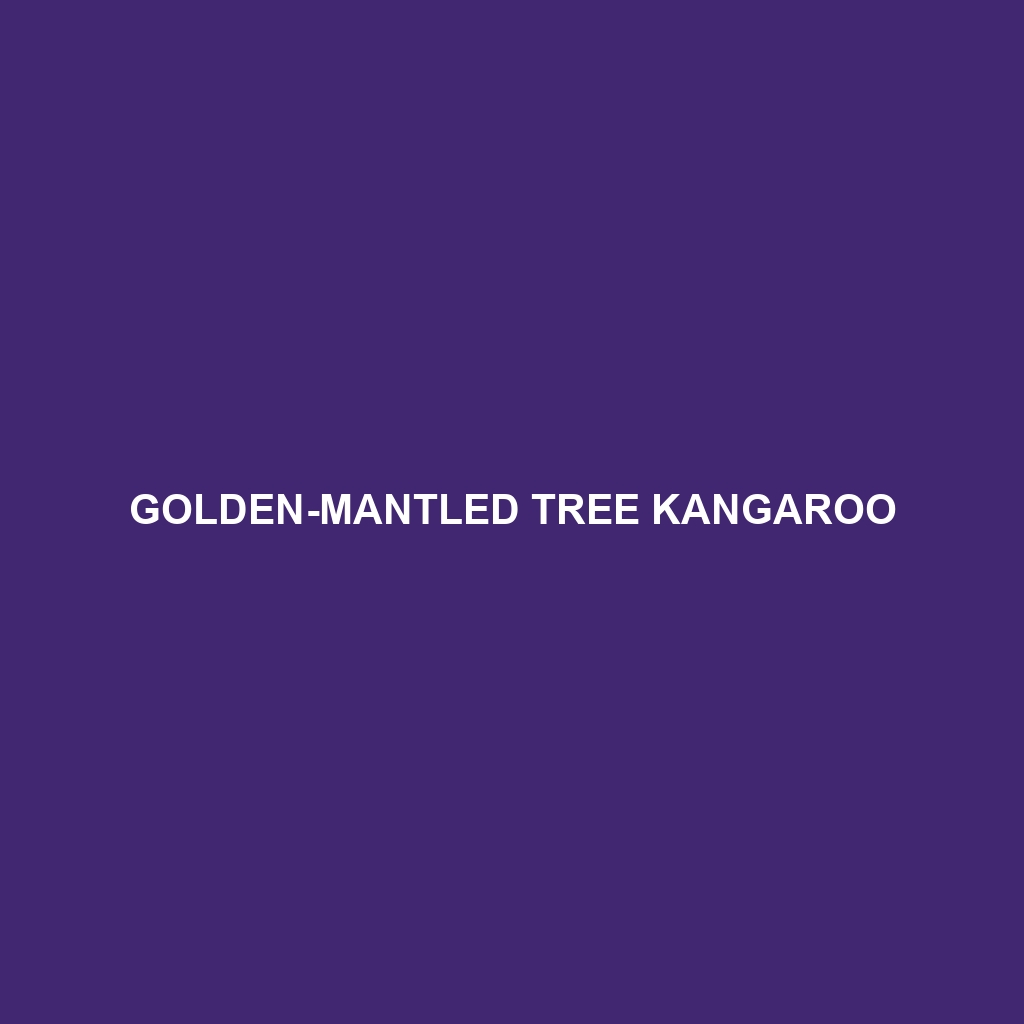 Golden-mantled Tree Kangaroo