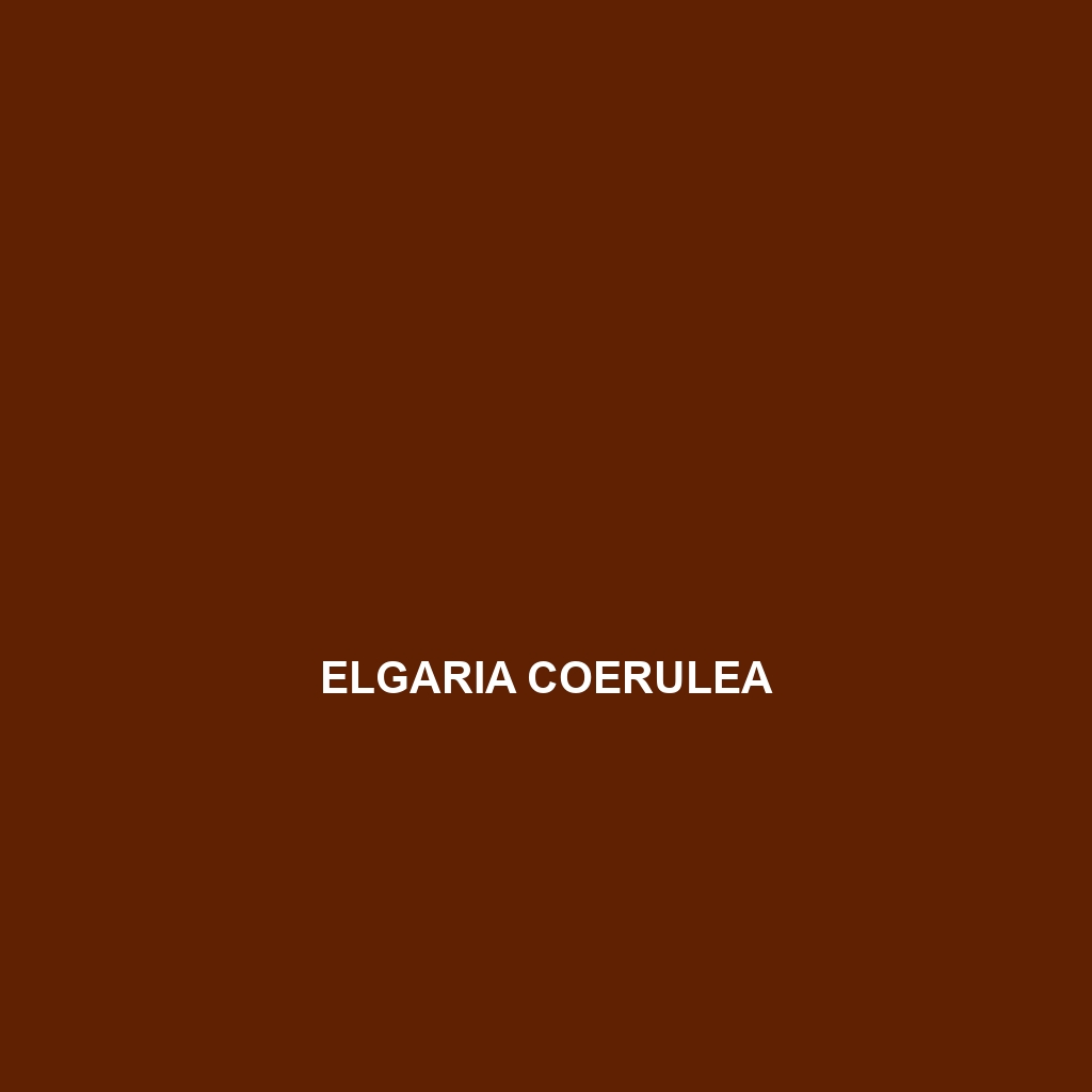 Elgaria coerulea