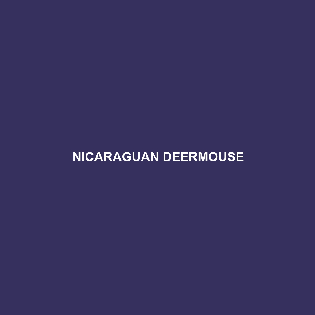 Nicaraguan Deermouse