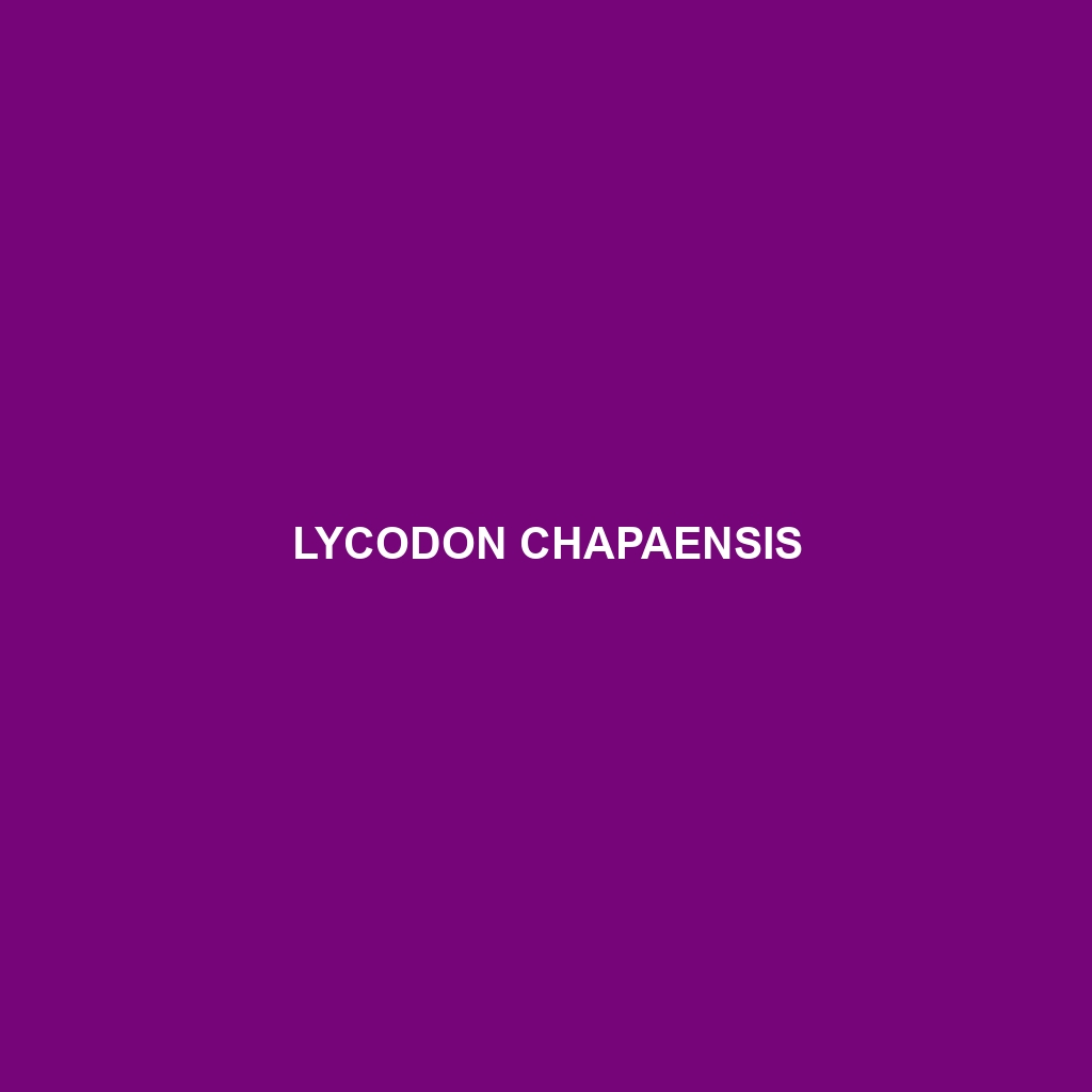 Lycodon chapaensis