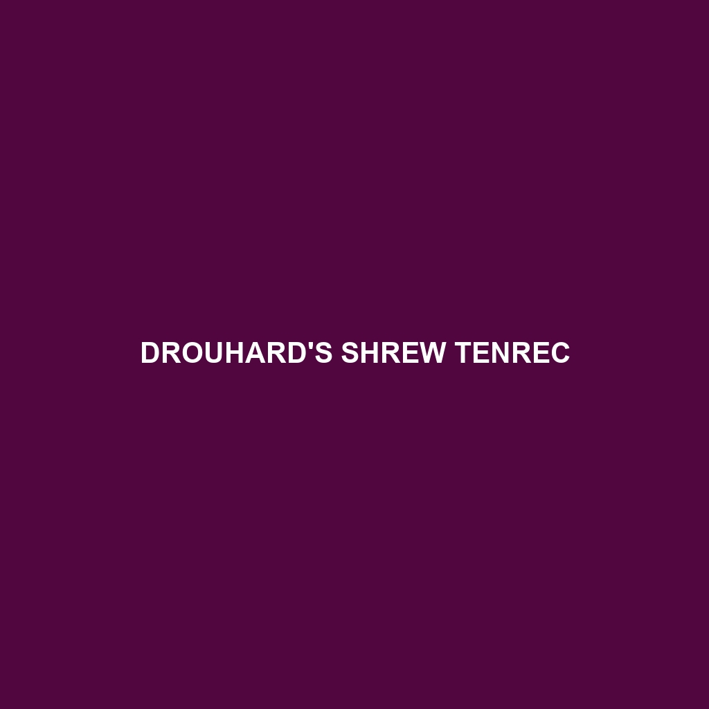 Drouhard's Shrew Tenrec