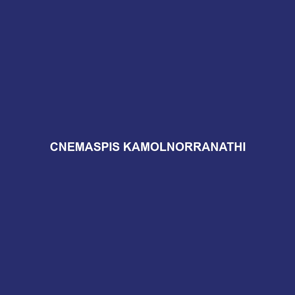 Cnemaspis kamolnorranathi