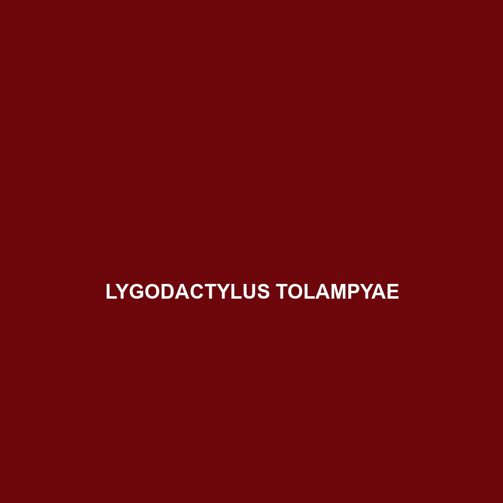 Lygodactylus tolampyae