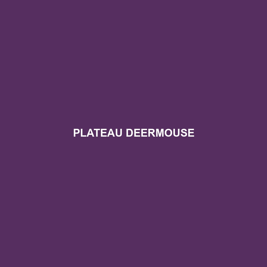 Plateau Deermouse