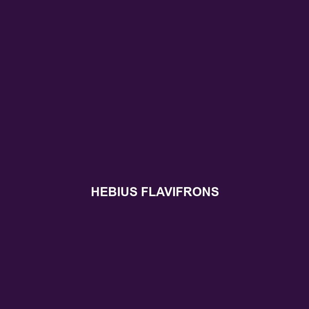 Hebius flavifrons