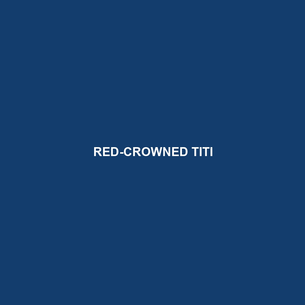 Red-crowned Titi