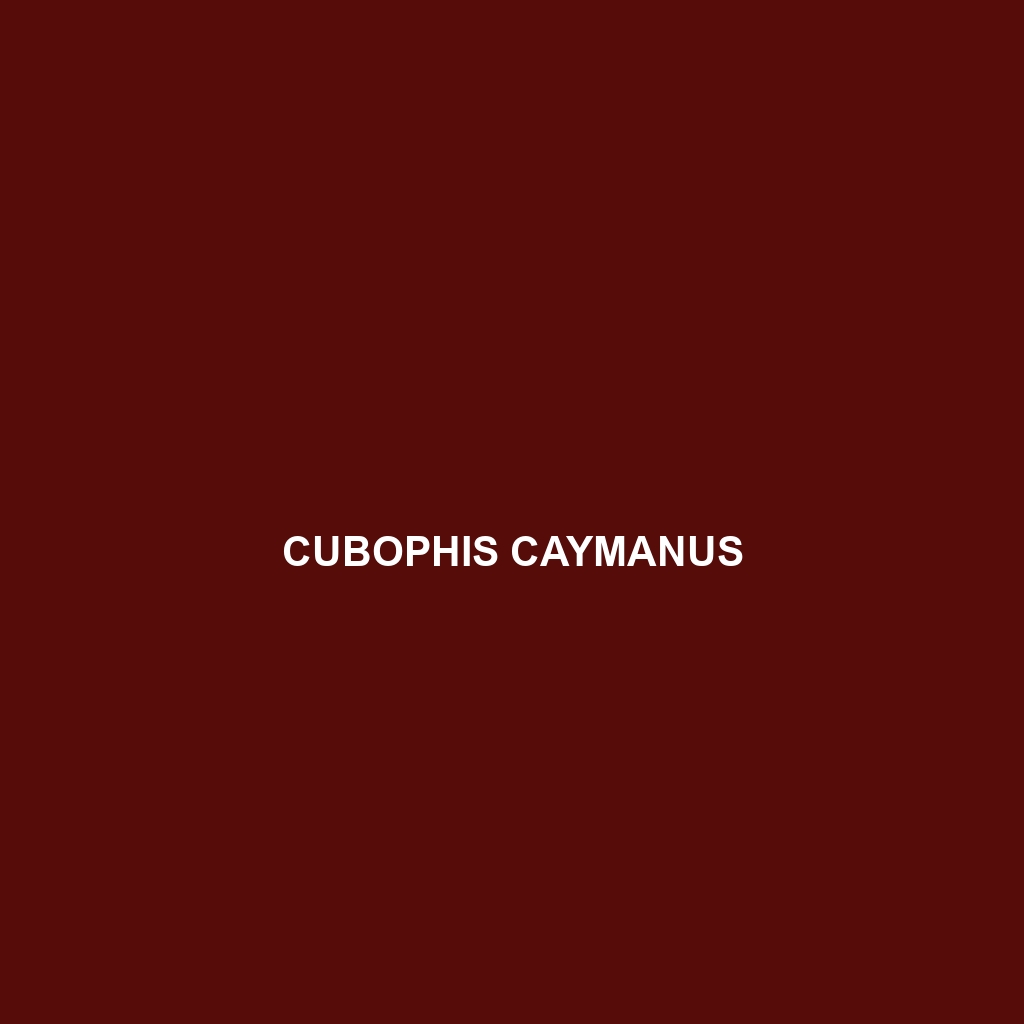 Cubophis caymanus