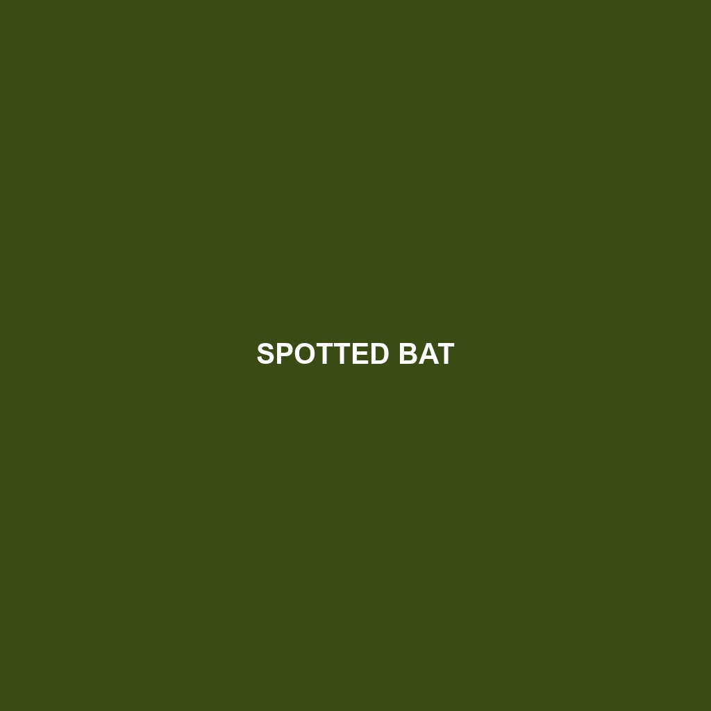 Spotted Bat