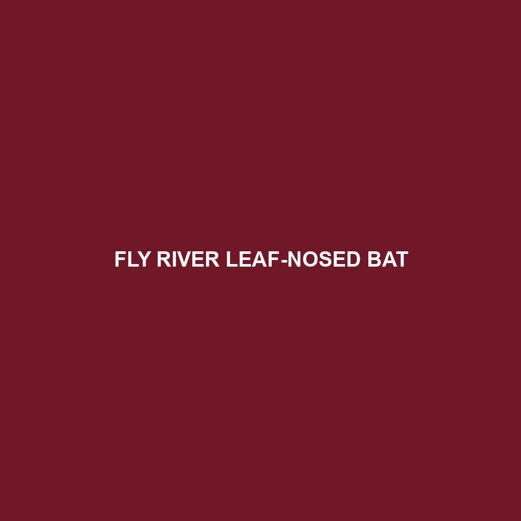 Fly River Leaf-nosed Bat