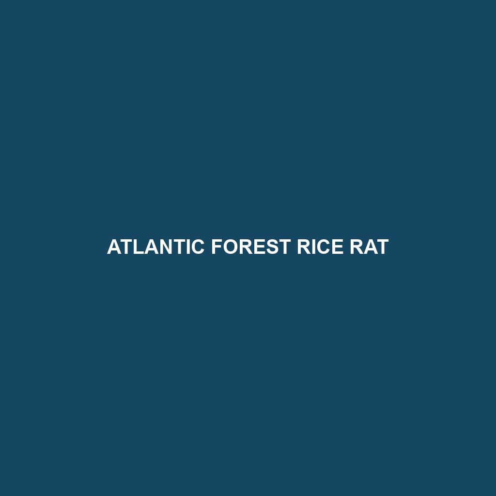 Atlantic Forest Rice Rat