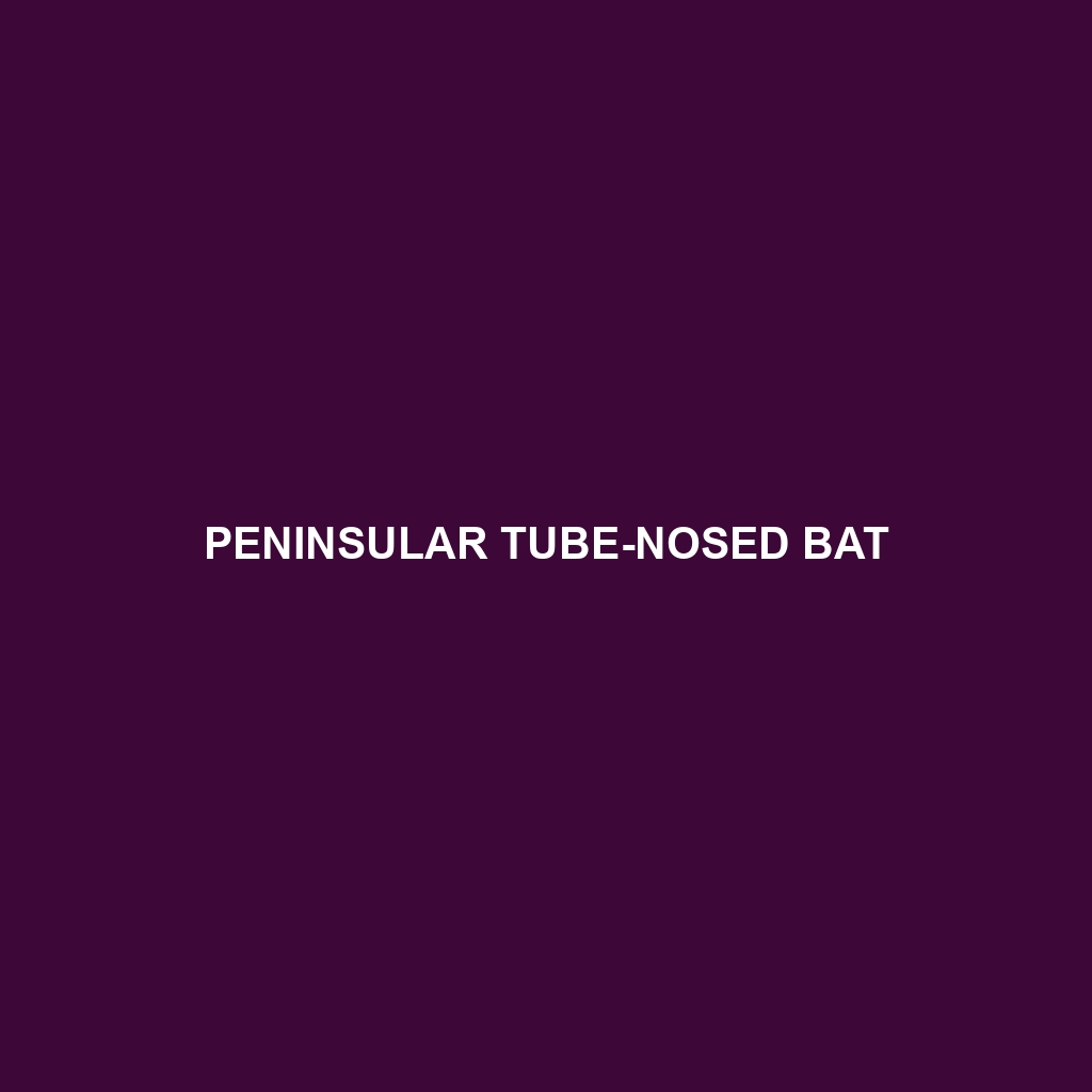 Peninsular Tube-nosed Bat