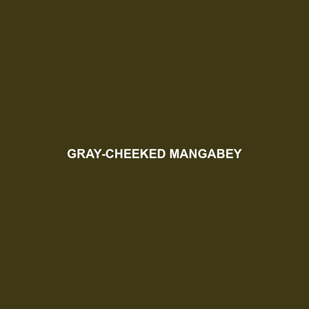 Gray-cheeked Mangabey