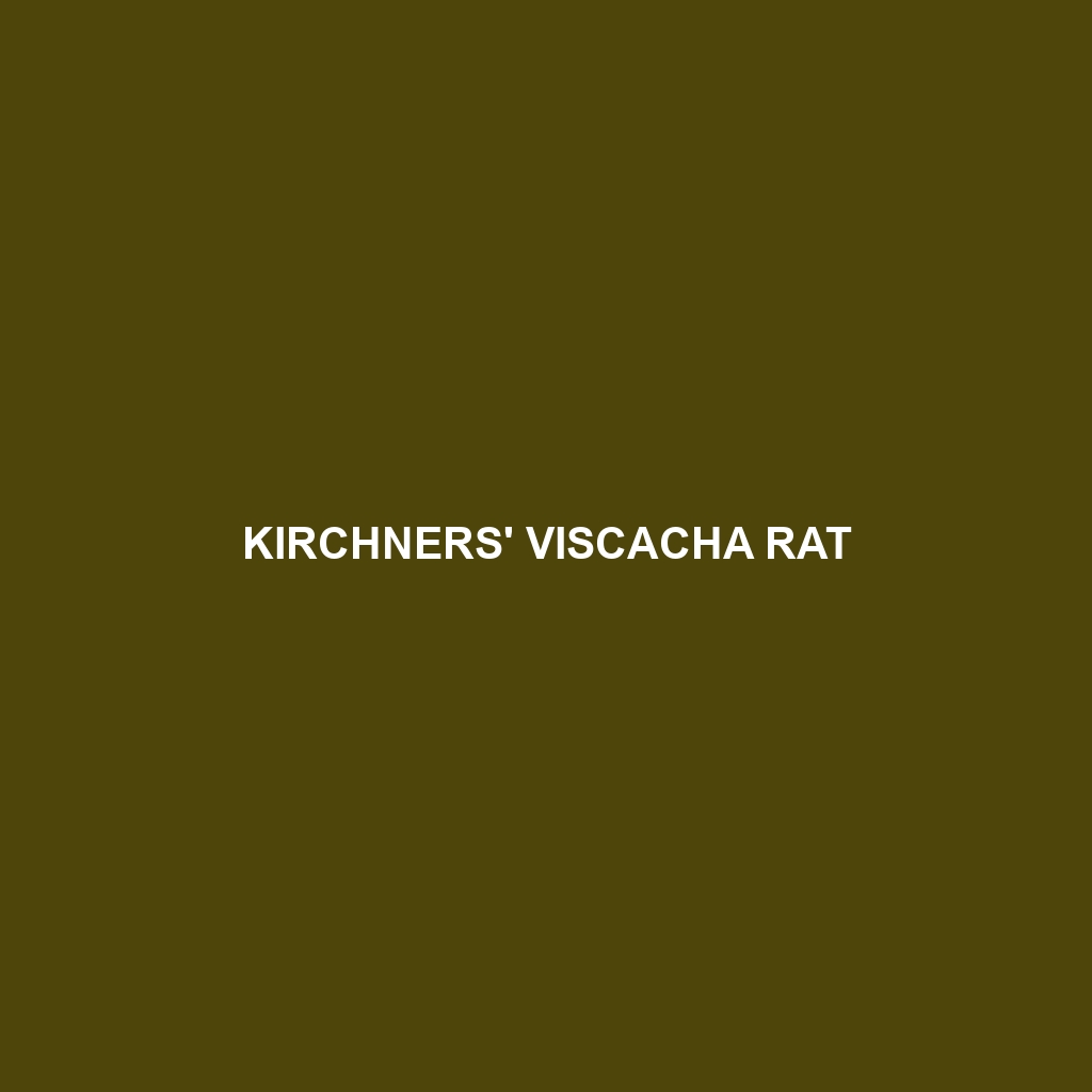 Kirchners' Viscacha Rat