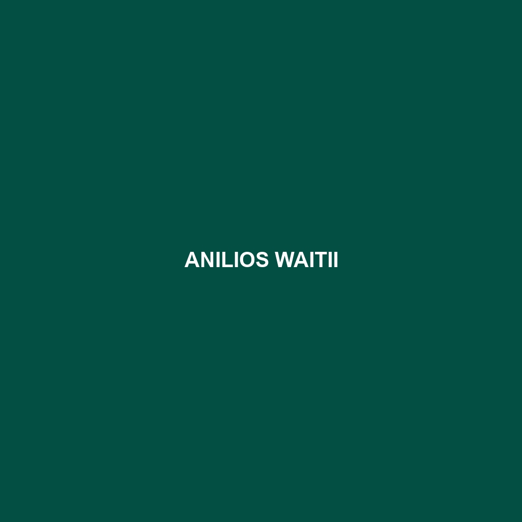 Anilios waitii