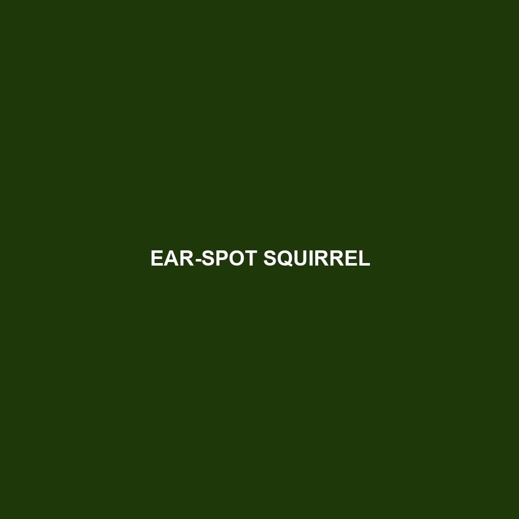 Ear-spot Squirrel