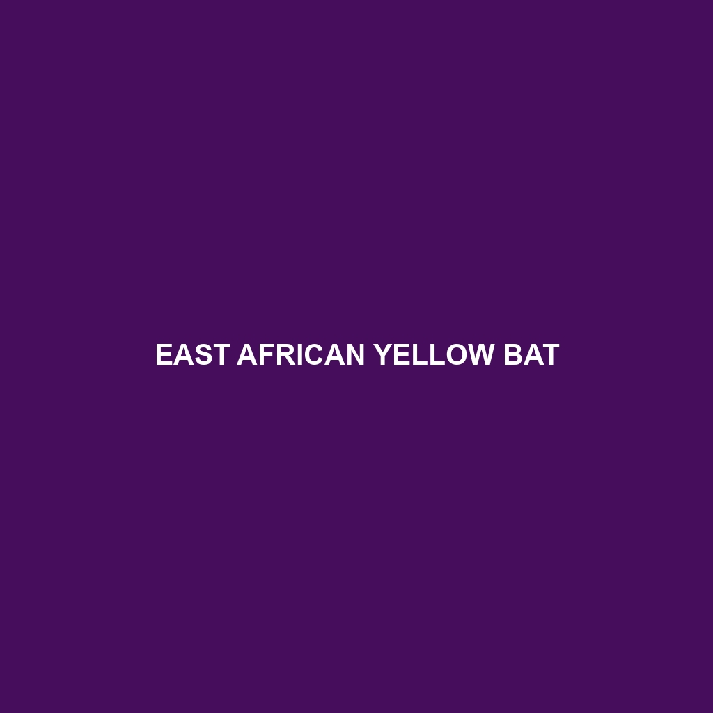 East African Yellow Bat