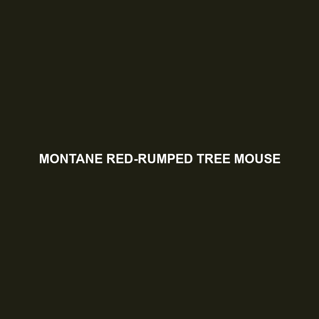 Montane Red-rumped Tree Mouse