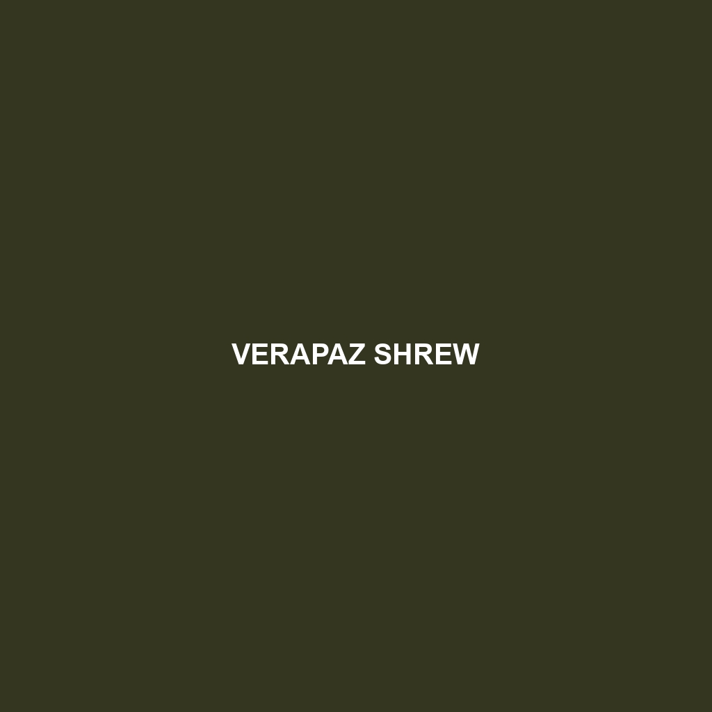 Verapaz Shrew