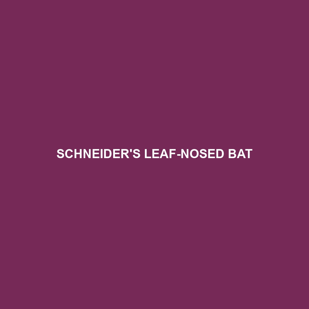 Schneider's Leaf-nosed Bat