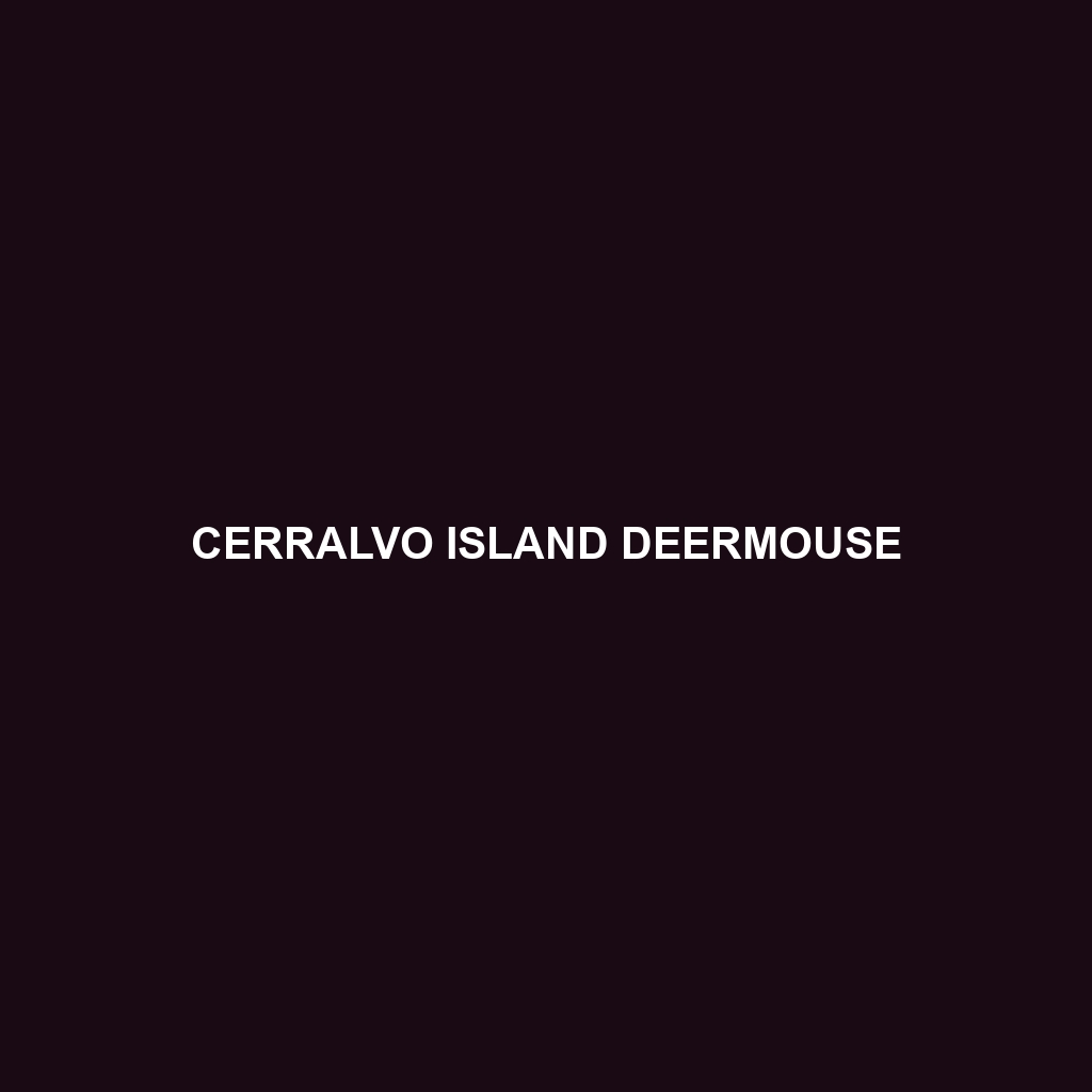 Cerralvo Island Deermouse