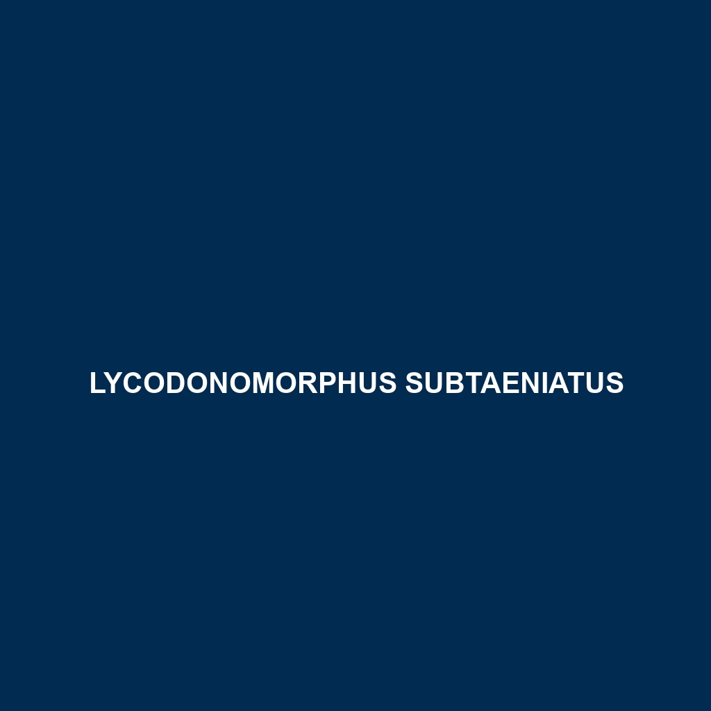 Lycodonomorphus subtaeniatus