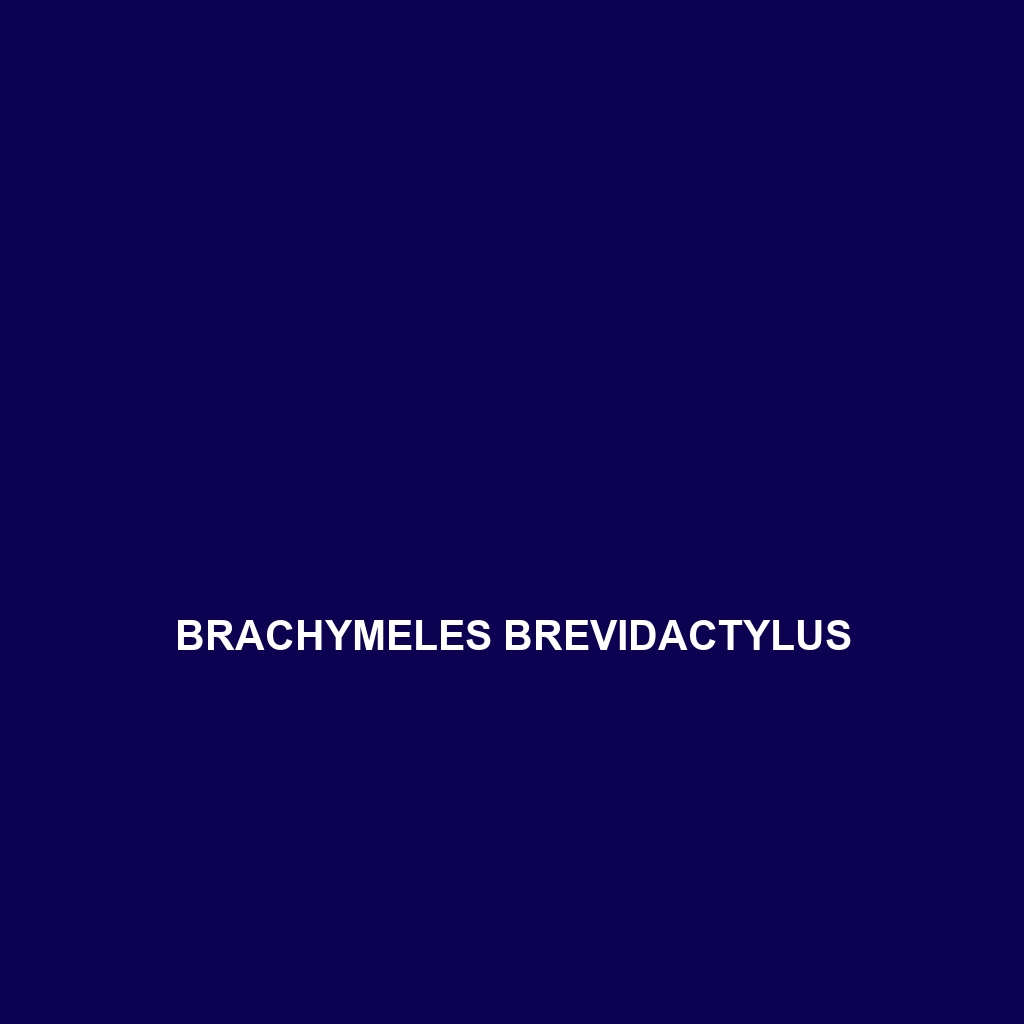 Brachymeles boulengeri